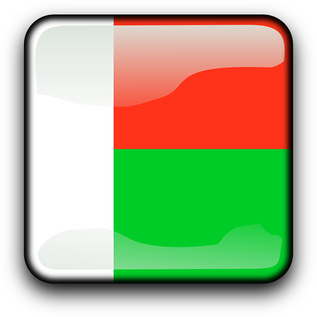 drapeau madagascar