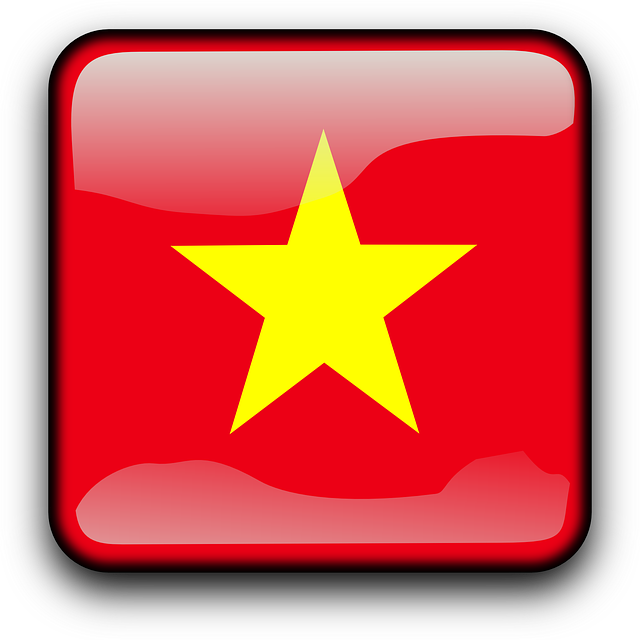 drapeau vietnam